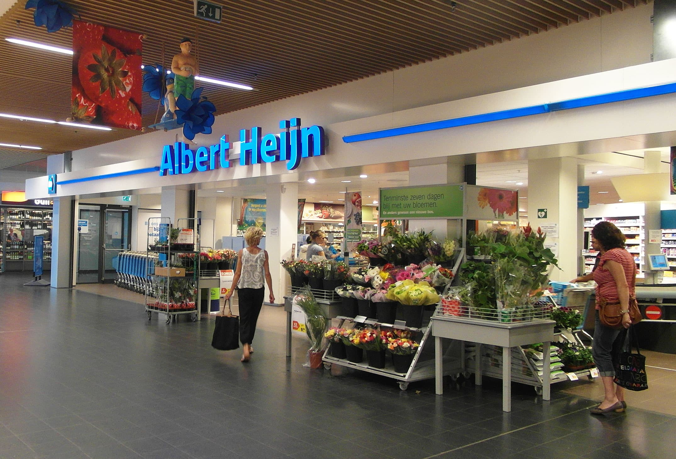 Article Header Image