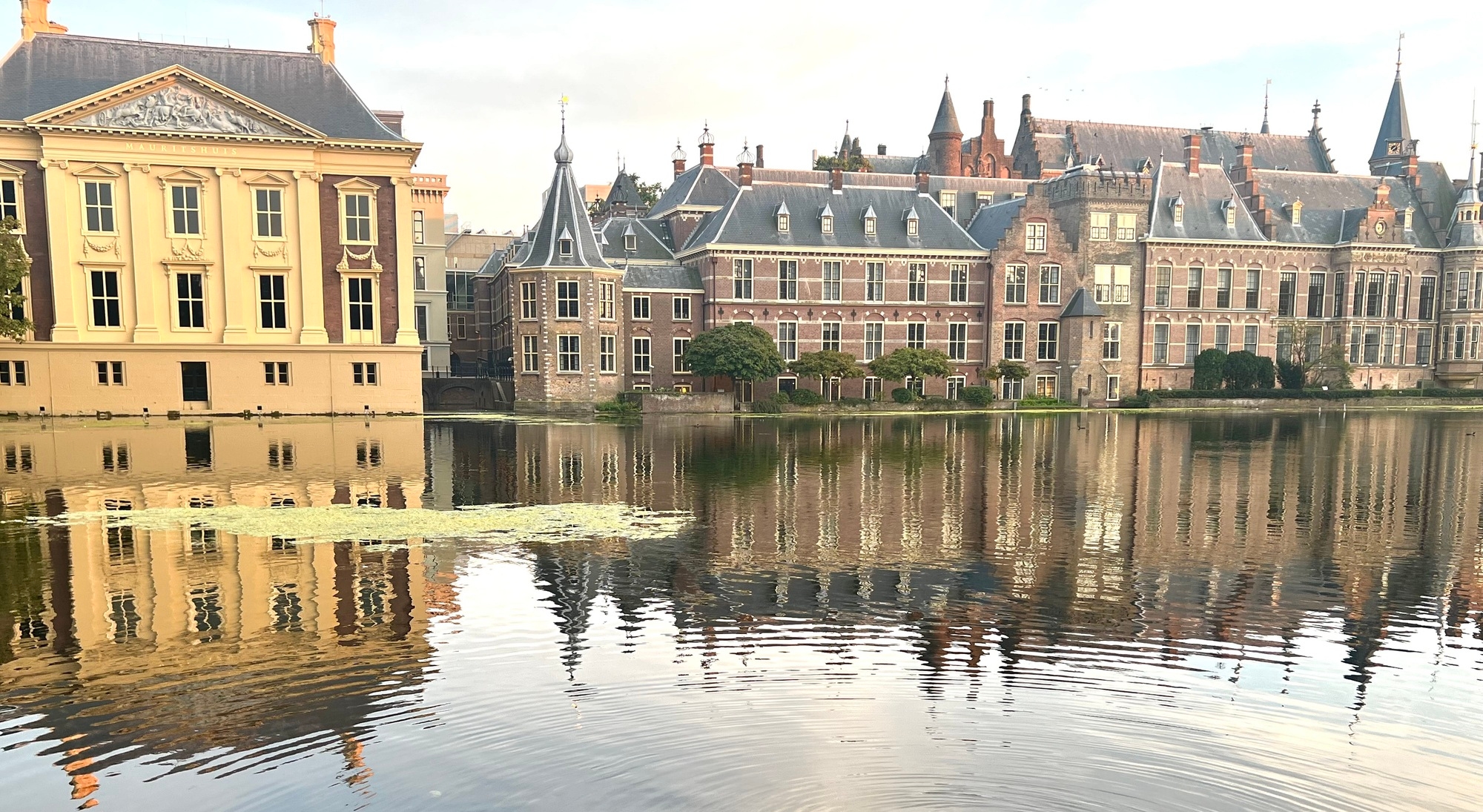 Article Header Image