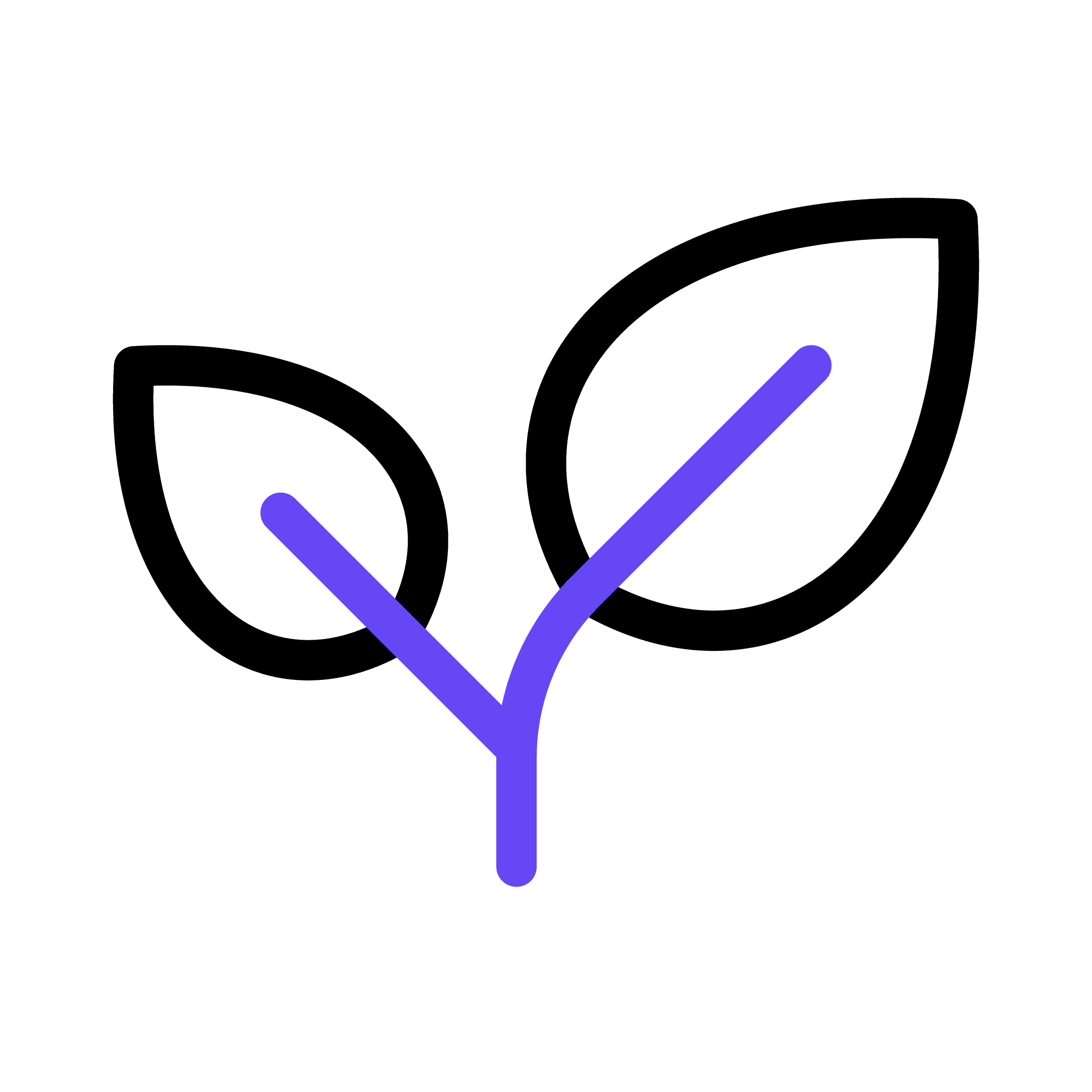 Team member image