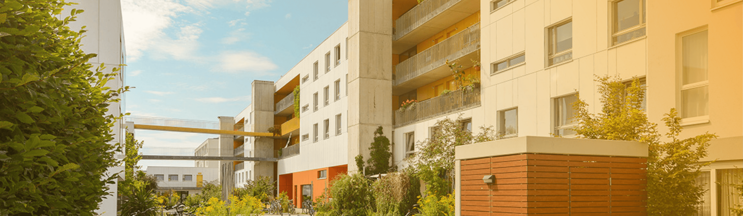 Article Header Image