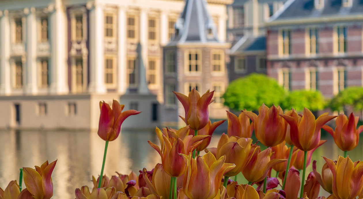 Prinsjesdag | Den Haag