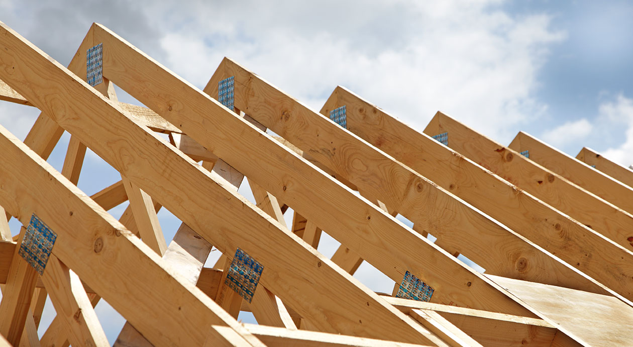 Modulair, circulair en natuurinclusief bouwen: Stikstof is de doorbraak voor hout